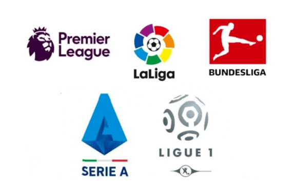 仅展示了中 仅展示了中